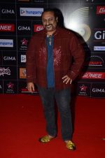 Leslie Lewis at GIMA Awards 2015 in Filmcity on 24th Feb 2015